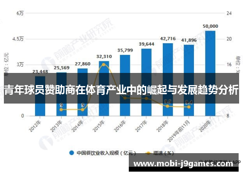 青年球员赞助商在体育产业中的崛起与发展趋势分析